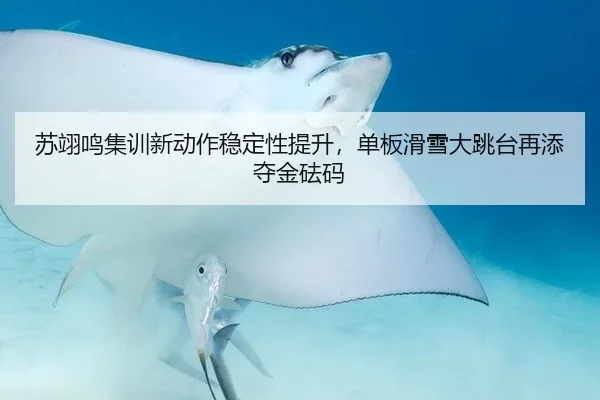 苏翊鸣集训新动作稳定性提升，单板滑雪大跳台再添夺金砝码